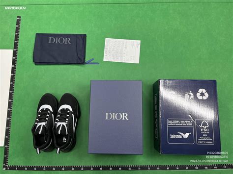 dior b25 pandabuy